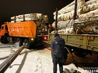 В Чернігівському районі поліція вилучила вантажівку з незаконною деревиною