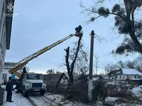 Рятувальники надали допомогу зрізанні дерева, яке загрожувало падання на будівлю школи