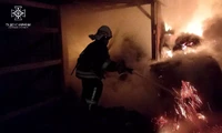 Бердичівський район: рятувальниками ліквідовано пожежу у сіннику