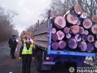 На Корюківщині поліцейські затримали дві вантажівки з незаконно добутою деревиною