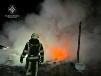 Вишгородський район: ліквідовано загорання альтанки