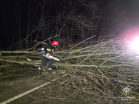 Рятувальники прибрали з автошляхів повалені вітром дерева