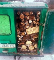 Затримала Поліція охорони Дніпропетровщини: везли деревину без документів