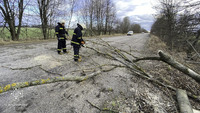 Рятувальники Вінниччини прибрали повалене вітром дерево