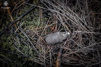 За минулу добу на Сумщині піротехніками ДСНС було виявлено та знищено 3 вибухонебезпечних предмети