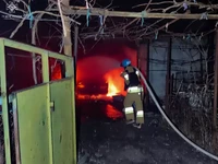 На Миколаївщині вогнеборці ліквідували три пожежі, які виникли через ворожі обстріли