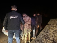 На Буковині прикордонники затримали організаторів незаконного переправлення осіб через державний кордон
