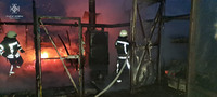 Фастівський район: рятувальниками ліквідовано загорання теплиці