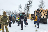 Поліція Чернігівщини викрила злочинну групу «чорних лісорубів», які підозрюються у масштабних порубках деревини на десятки мільйонів гривень
