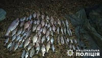 Поліцейські завершили досудове розслідування браконьєрства у Корнинській громаді