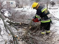 Кіровоградська область: бійці ДСНС спилювали аварійні гілки та дерева, що перешкоджали нормальній життєдіяльності населення