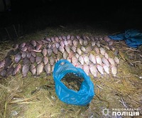 У Миколаївському районі  правоохоронці викрили браконьєрів на незаконному вилові риби та раків