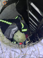 Полтава: рятувальники витягли собаку з каналізаційного колектору
