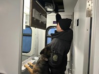 (ВІДЕО) У санвузлі пасажирського потяга службовий собака прикордонників виявив сховок