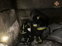 На Вінниччині за добу ліквідовано 4 пожежі