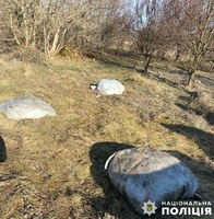 На Полтавщині поліція виявила та вилучила на узбережжі Кременчуцького водосховища браконьєрські сітки  й мішки з рибою