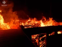Житомирська область: триває ліквідація пожежі  на одному з деревообробних підприємств