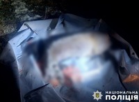 На Полтавщині поліція виявила браконьєра, який незаконно вполював дику козу