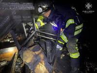 У Вінниці ліквідовано пожежу в господарчій будівлі