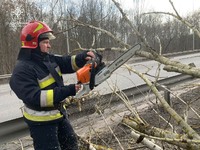 Рятувальники Вінниччини прибрали повалені дерева з автошляхів