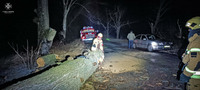 Білоцерківський район: рятувальники прибрали дерево, що впало на проїзну частину