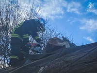 М. Чернівці: рятувальники прибрали дерево, що впало на будинок і господарську будівлю