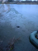 Житомирський район: рятувальники дістали тіло чоловіка з водойми