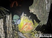 На Полтавщині поліція вилучила боєприпас в лісосмузі Кременчуцького району