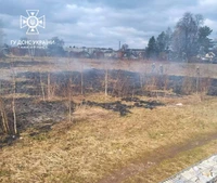 У Самборі поблизу будинків вогнеборці ліквідували загорання сухої трави