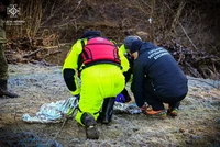 Вижницький район: триденні пошуки завершено — тіло зниклої дитини знайдено в річці