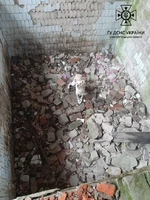 Голованівський район: рятувальники дістали собаку з ями