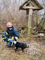 Кропивницький район: рятувальники дістали собаку з колодязя