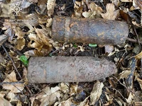 Піротехніки ДСНС Прикарпаття знешкодили 2 артилерійські снаряди ІІ Світової війни