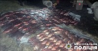 На Полтавщині поліцейські викрили правопорушника з браконьєрськими сітками та  близько 100 кілограмами незаконно виловленої риби