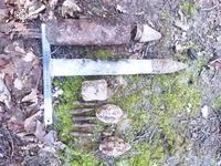 Виявлені в лісі на Золочівщині застарілі боєприпаси – знищено