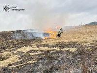 Протягом доби рятувальники Львівщини ліквідували 10 пожеж сухої трави