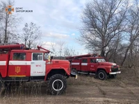 Рятувальники спільно із місцевими вогнеборцями ліквідували пожежу в екосистемі