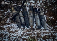 За минулу добу на Сумщині піротехніками ДСНС було виявлено та знищено 7 вибухонебезпечних предметів