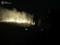 Минулої доби бійці ДСНС ліквідували 5 пожеж в природних екосистемах