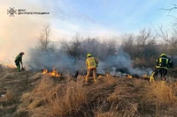 Вогнеборці долали займання на відкритих територіях