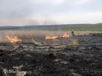На Кіровоградщині рятувальники ліквідували 11 пожеж на відкритих територіях