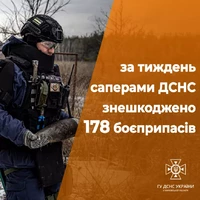 Протягом тижня на Харківщині піротехніки ДСНС ліквідували 178 одиниць ворожих боєприпасів
