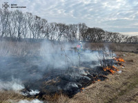 На Вінниччині ліквідовано пожежі в природних екосистемах