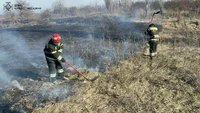 Кіровоградська область: рятувальники загасили 5 пожеж на відкритих територіях
