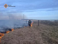 Впродовж доби рятувальники ліквідували 5 пожеж у природних екосистемах Запорізької області