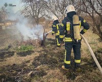 Рятувальники ліквідовують пожежі в екосистемах