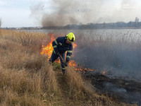 На Вінниччині  ліквідовано пожежі в природних екосистемах