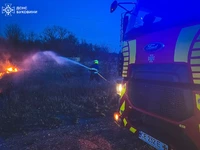 Чернівецька область: минулої доби сталося 5 пожеж сухої трави