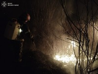 За минулу добу на Вінниччині ліквідовано 24 пожежі в природних екосистемах