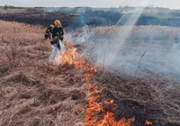 Кіровоградська область: вогнеборці ліквідували 14 займань на відкритих територіях